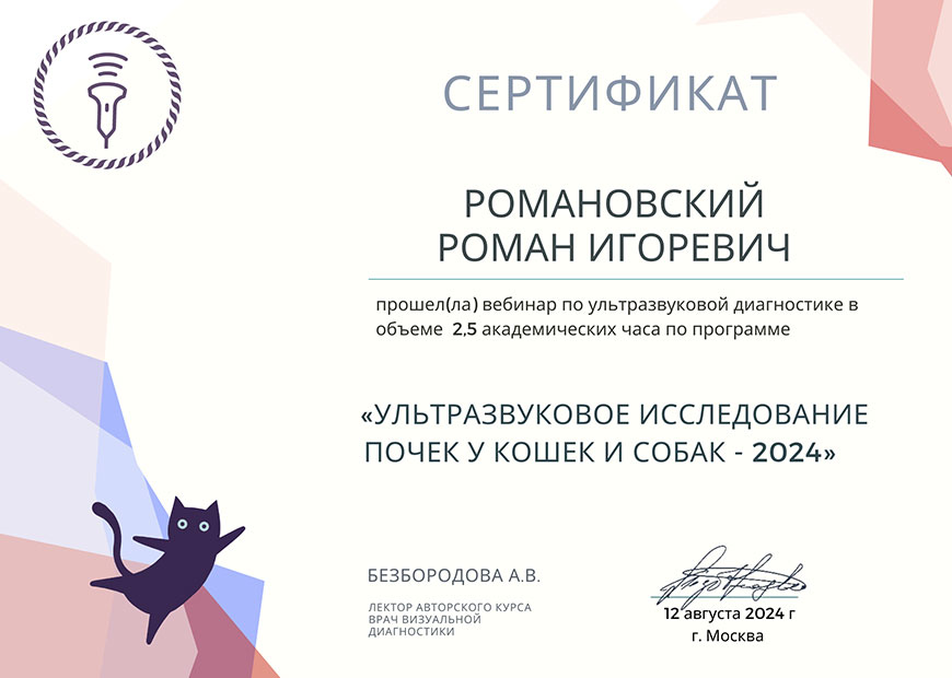 Романовский Роман Игоревич